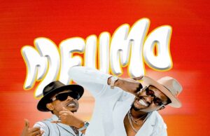 AUDIO | G Nako Ft. Dammy Love – Mfumo | Download