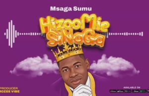 AUDIO | Msaga Sumu – Hizoo Mie | Download
