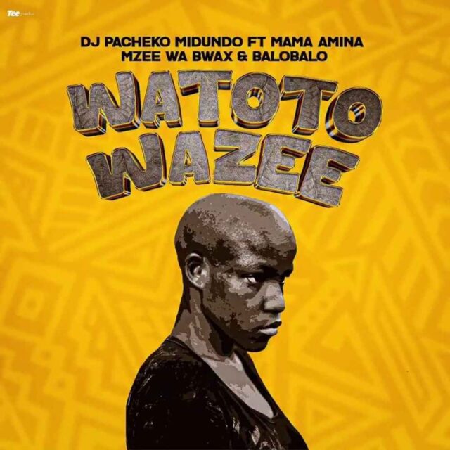 DJ-Pacheko-Midundo-Ft-Mama-Amina-x-Mzee-wa-Bwax-BaroBaro-–-Watoto-Wazee-1024x1024